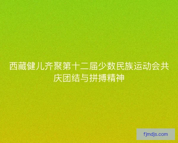 西藏健儿齐聚第十二届少数民族运动会共庆团结与拼搏精神