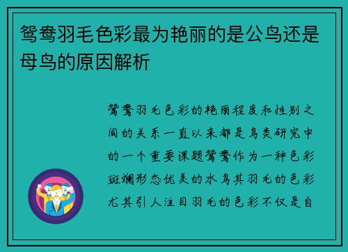 鸳鸯羽毛色彩最为艳丽的是公鸟还是母鸟的原因解析 鸳鸯羽毛色彩最为艳丽的是公鸟还是母鸟的原因解析